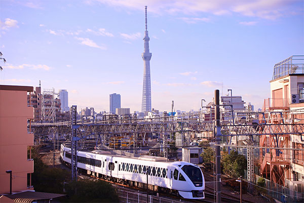 【高齢者向け｜関東編】両親へ旅行のプレゼント！高齢でも楽しめるおすすめの旅行先