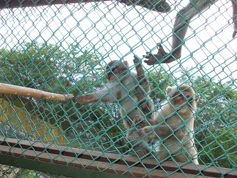 鬼怒川温泉ロープウェイ